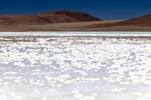 Lagunas Miscanti Miniques Tuyacto Aguas Calientes 185.jpg